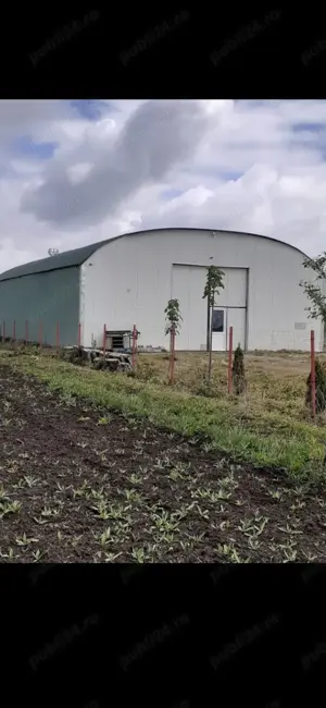 Inchiriez Hala 300 mp,cu elevatoare,canal,aparate vulcanizare - imagine 4