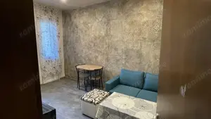 Apartament o camera de vanzare Buziasului  - imagine 2