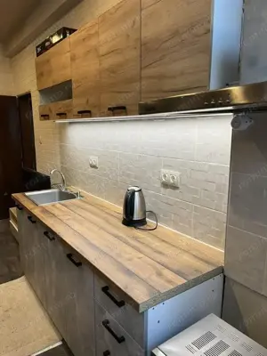 Apartament o camera de vanzare Buziasului  - imagine 3