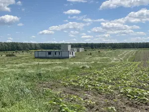 Teren intravilan Craiova Pielesti, 609 mp, 29 Euro mp  - imagine 5