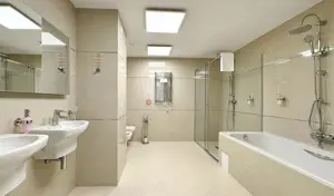 Penthouse generos cu priveliste spre Masivul Postavarul - imagine 16