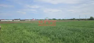 Nou! Teren intravilan S= 4998 mp! - imagine 3