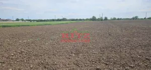 Nou! Teren intravilan S= 4998 mp!