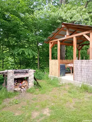 Vând teren si cabana  - imagine 3