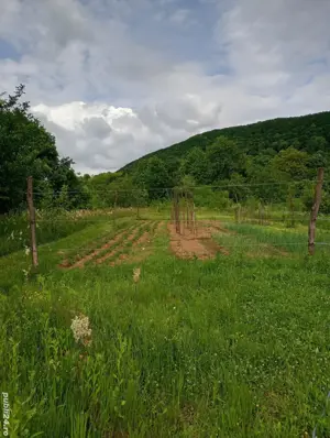 Vând teren si cabana  - imagine 7