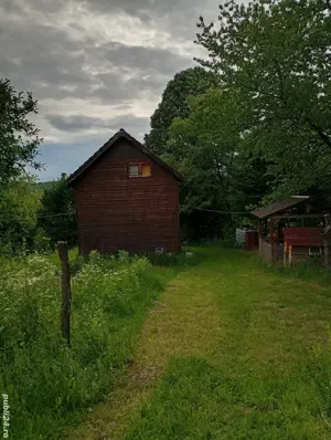 Vând teren si cabana  - imagine 8