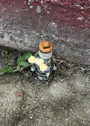 Loc de casa - Teren intravilan cu toate utilitatile - Episcopia Bihor - IMOBIHOR - imagine 3