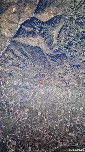 Se vinde 80 de arii teren pădure în Baia Mare - imagine 2