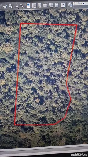 Se vinde 80 de arii teren pădure în Baia Mare