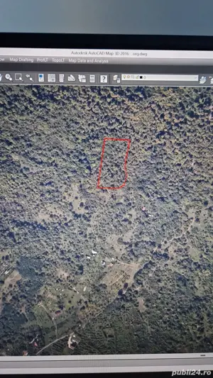 Se vinde 80 de arii teren pădure în Baia Mare - imagine 3