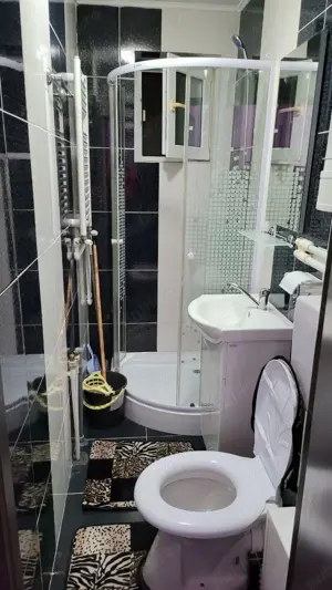 PROPRIETAR-Brotăcei(tic-tac)-Centrală gaz,termen lung - imagine 8