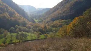 Vând teren intravilan, pozitie superba, sat Hărțăgani, com. Băița, Hunedoara, Mții Apuseni