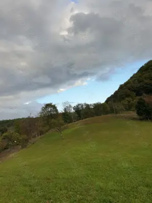 Vând teren intravilan, pozitie superba, sat Hărțăgani, com. Băița, Hunedoara, Mții Apuseni - imagine 9