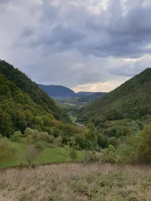 Vând teren intravilan, pozitie superba, sat Hărțăgani, com. Băița, Hunedoara, Mții Apuseni - imagine 8