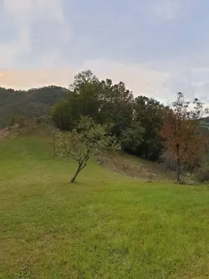 Vând teren intravilan, pozitie superba, sat Hărțăgani, com. Băița, Hunedoara, Mții Apuseni - imagine 10