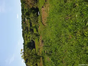 teren 52 are - imagine 3