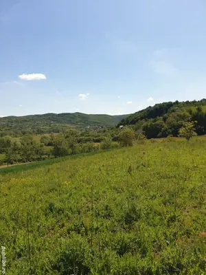 teren 52 are - imagine 4