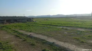 vand teren filipesti  galbeni