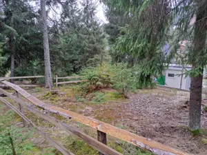 Vând un teren în Vartop-Arieseni 