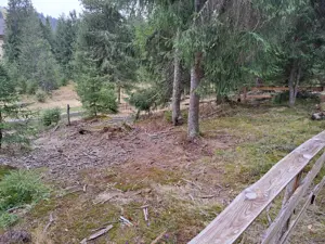 VAND TEREN Vartop-Arieseni 