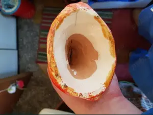 SET 2 Statuete Dansatoare flamenco latino inaltime 22cm -50 LEI - imagine 2