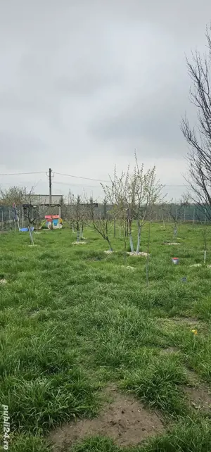 Proprietate Nanov( case si teren) - imagine 7