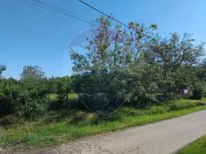 Teren 1,151mp Viile Apei / Strada Ungureasca - imagine 3