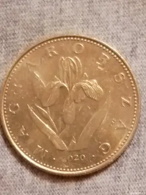 Moneda veche de colecție Eroare 