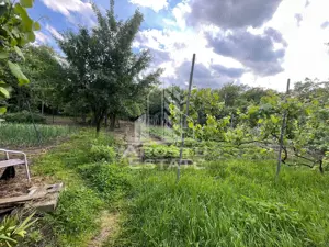 Casa individuala,3 camere, 2 bai, acces auto, garaj,teren 3182 mp - imagine 17