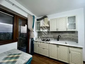 Apartament cu 2 camere, Timisoara, zona Lipovei, Curte proprie - imagine 3