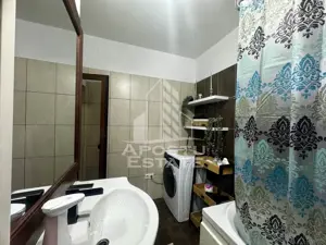 Apartament cu 2 camere, Timisoara, zona Lipovei, Curte proprie - imagine 9