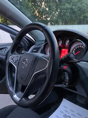 Vand Opel Insignia - imagine 7
