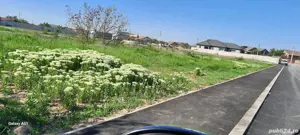 proprietar vind Intravilan 3008mp,str. Ana Aslan,Craiova; 2-Teren agricol 4900mp, com Mischii, Dolj