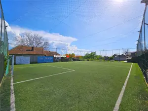 PROPRIETATE CU AFACERE FUNCTIONALA DE VANZARE - PETREU, LANGA MARGHITA - imagine 11