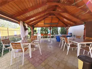 PROPRIETATE CU AFACERE FUNCTIONALA DE VANZARE - PETREU, LANGA MARGHITA - imagine 8