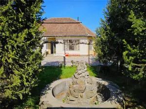 PROPRIETATE CU AFACERE FUNCTIONALA DE VANZARE - PETREU, LANGA MARGHITA