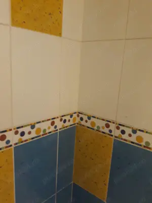 Faianțar cu experiență  - imagine 3