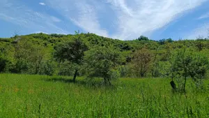 Teren in Provita,sat Draganeasa