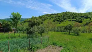 Teren in Provita,sat Draganeasa - imagine 6