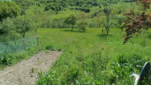 Teren in Provita,sat Draganeasa - imagine 8