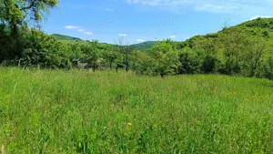 Teren in Provita,sat Draganeasa - imagine 7