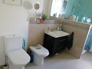 Proprietar, vand casa individuala 4 camere - Mosnita Veche - imagine 4