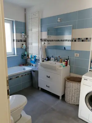 Proprietar, vand casa individuala 4 camere - Mosnita Veche - imagine 8