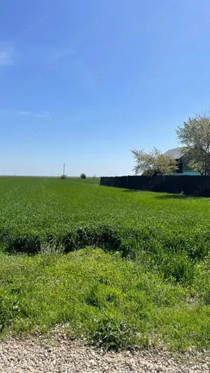 teren intravilan MIROSI  si teren extravilan 10 ha - imagine 2