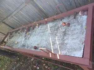 Vând presă pentru lemn (uși,ferestre,panouri)3000 X 800 - imagine 4