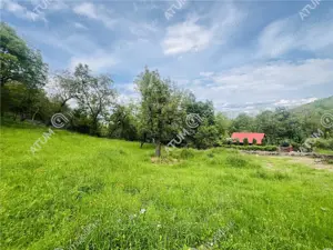 Teren intravilan de 1811 mp situat in Sibiel judetul Sibiu - imagine 2