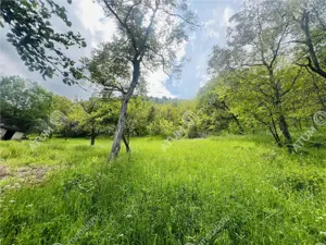 Teren intravilan de 1811 mp situat in Sibiel judetul Sibiu - imagine 8