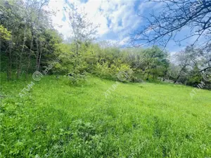 Teren intravilan de 1811 mp situat in Sibiel judetul Sibiu