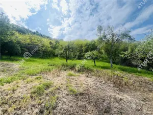 Teren intravilan de 1811 mp situat in Sibiel judetul Sibiu - imagine 5