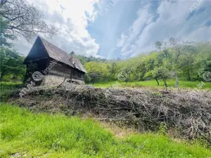 Teren intravilan de 1811 mp situat in Sibiel judetul Sibiu - imagine 7